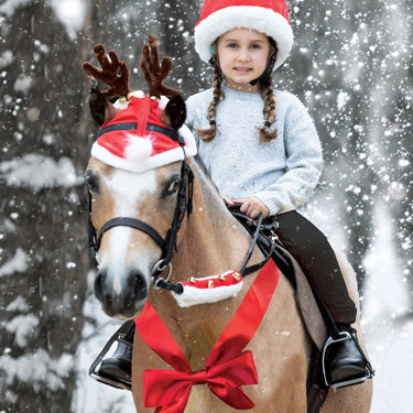 Equetech Santa Hat Horse Bonnet| Online For Equine