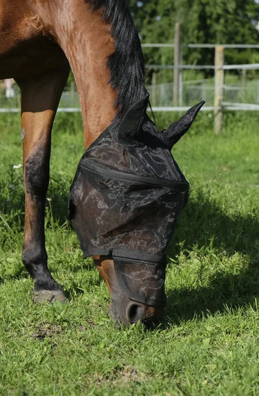 Buy Equi-Theme Protector Dome Plus Fly Mask | Online for Equine