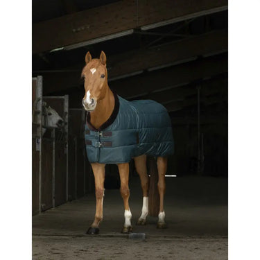 Buy Equi-Theme Teddy Green Luxury 200gm Stable Rug - 6'0"| Online for Equine