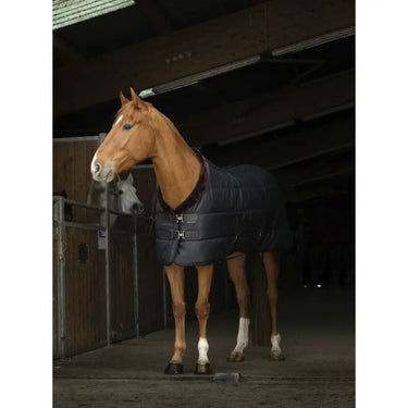 Buy Equi-Theme Teddy Green Luxury 200gm Stable Rug - 6'0"| Online for Equine