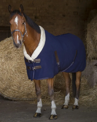 Buy Equi-Theme Teddy Polar Fleece Sheet| Online for Equine