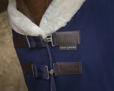 Buy Equi-Theme Teddy Polar Fleece Sheet| Online for Equine