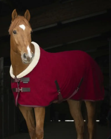 Buy Equi-Theme Teddy Polar Fleece Sheet| Online for Equine