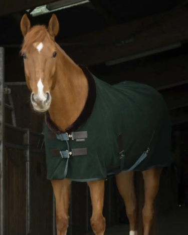 Buy Equi-Theme Teddy Polar Fleece Sheet| Online for Equine