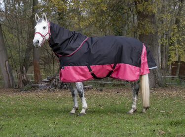 Buy Equi-Thème Tyrex 1200D No Fill Neck Cover - Black/Raspberry| Online for Equine