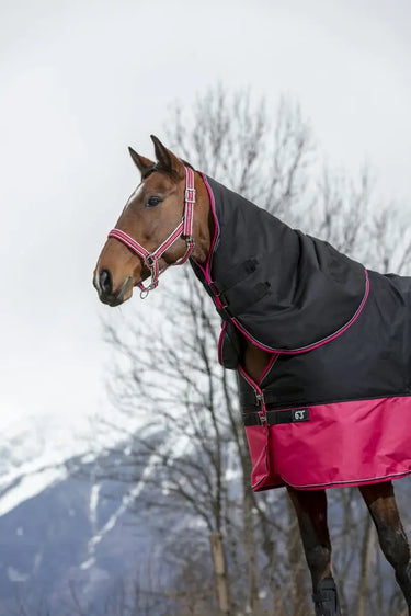 Buy Equi-Thème Tyrex 1200D No Fill Neck Cover - Black/Raspberry| Online for Equine