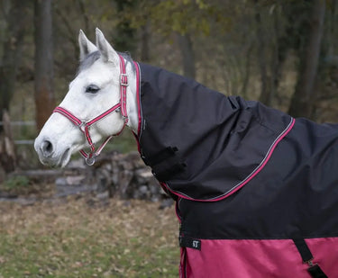 Buy Equi-Thème Tyrex 1200D No Fill Neck Cover - Black/Raspberry| Online for Equine