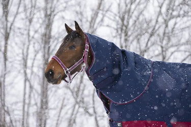 Buy Equi-Thème Tyrex 1200D No Fill Neck Cover - Navy/Burgundy| Online for Equine