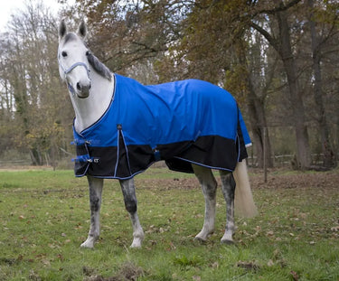 Buy Equi-Thème Tyrex 1200D "Aisance" No Fill Turnout Rug - Blue/Black| Online for Equine