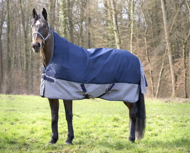 Buy Equi-Thème Tyrex 600D 150G High Neck Turnout Rug - Navy/Grey| Online for Equine