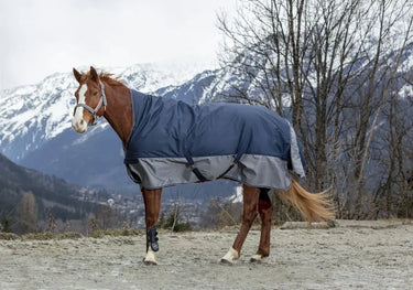 Buy Equi-Thème Tyrex 600D 150G High Neck Turnout Rug - Navy/Grey| Online for Equine