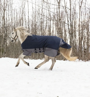 Buy Equi-Thème Tyrex 600D 300G Turnout Rug With Belly Belt| Online for Equine