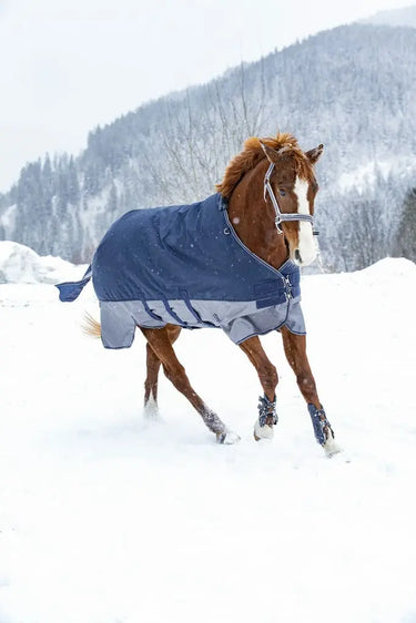 Buy Equi-Thème Tyrex 600D 300G Turnout Rug With Belly Belt| Online for Equine