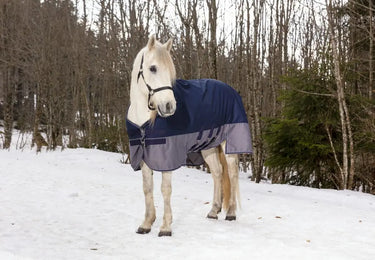 Buy Equi-Thème Tyrex 600D 300G Turnout Rug With Belly Belt| Online for Equine