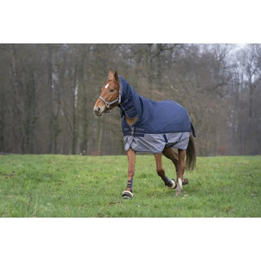 Buy Equi-Thème Tyrex 600D No Fill Combo Neck Turnout Rug - Navy/Grey| Online for Equine