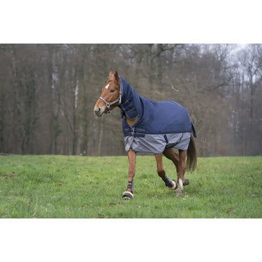 Buy Equi-Thème Tyrex 600D No Fill Combo Neck Turnout Rug - Navy/Grey| Online for Equine