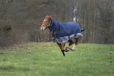 Buy Equi-Thème Tyrex 600D No Fill Combo Neck Turnout Rug - Navy/Grey| Online for Equine