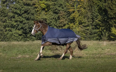 Buy Equi-Thème Tyrex 600D No Fill High Neck Turnout Rug - Navy/Grey| Online for Equine