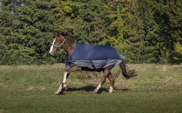 Buy Equi-Thème Tyrex 600D No Fill High Neck Turnout Rug - Navy/Grey| Online for Equine