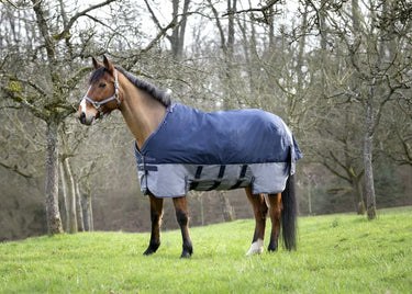 Buy Equi-Thème Tyrex 600D No Fill Turnout Rug With Belly Belt| Online for Equine