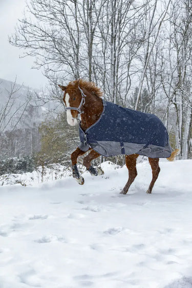 Buy Equi-Thème Tyrex 600D Standard Neck 300g Turnout Rug - Navy/Grey| Online for Equine