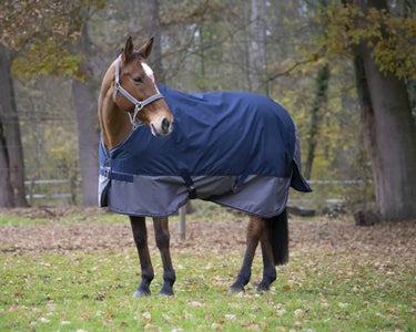 Buy Equi-Thème Tyrex 600D Standard Neck 300g Turnout Rug - Navy/Grey| Online for Equine