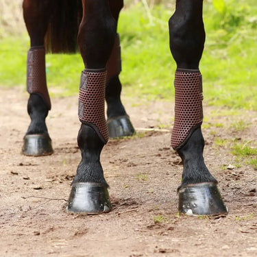Buy Equilibrium Breathable Tri-Zone Brushing Boots Brown | Online for Equine