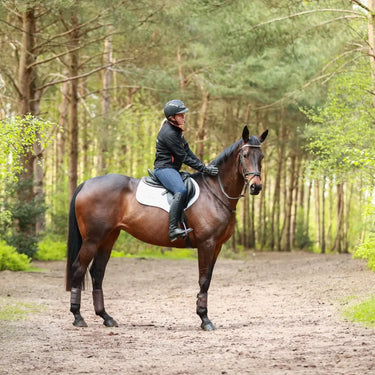 Buy Equilibrium Breathable Tri-Zone Brushing Boots Brown | Online for Equine