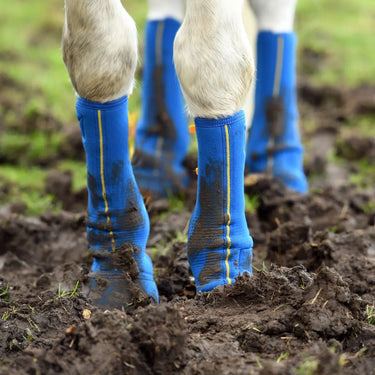 Buy Equilibrium Equi-Chaps Close Contact Chaps| Online for Equine