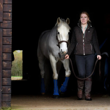 Buy Equilibrium Equi-Chaps Close Contact Chaps| Online for Equine