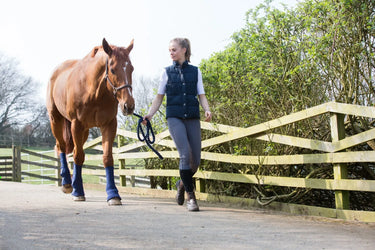 Buy Equilibrium Equi-Chaps Hardy Chaps| Online for Equine