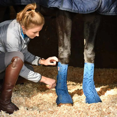 Buy Equilibrium Equi-Chaps Stable Chaps| Online for Equine