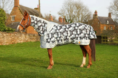 Equilibrium Field Relief Combo Fly Rug| Online For Equine
