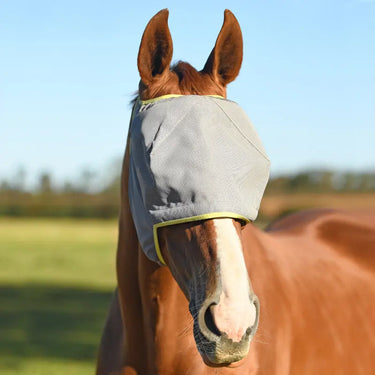 Buy Equilibrium Field Relief Midi Earless Fly Mask| Online for Equine