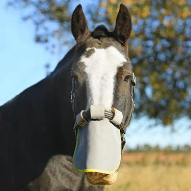 Buy Equilibrium Field Relief Muzzle Protector| Online for Equine