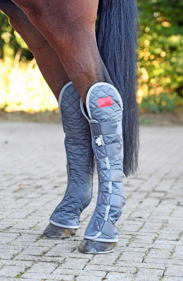 Buy Equilibrium Hind & Hock Magnetic Chaps| Online for Equine