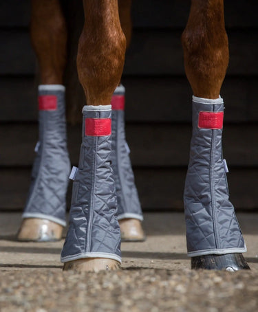 Buy Equilibrium Magnetic Stable Chaps| Online for Equine