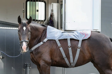 Buy Equilibrium Massage Pad Heatsense| Online for Equine