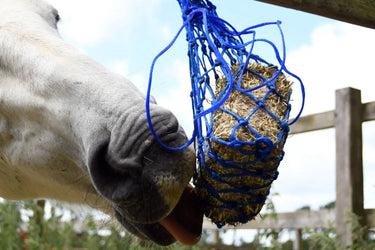 Buy Equilibrium Munch Net| Online for Equine