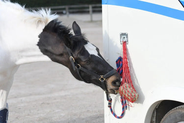 Buy Equilibrium Munch Net| Online for Equine