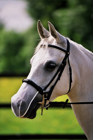 Buy Equilibrium Net Relief Muzzle Net (2 Pack)| Online for Equine