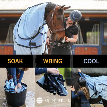 Equilibrium Quick Chill Cool Rug Detachable Neck Light Blue| Online For Equine
