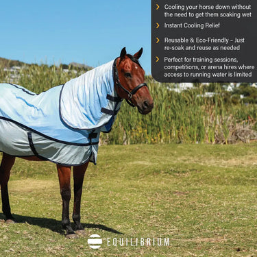 Equilibrium Quick Chill Cool Rug Detachable Neck Light Blue| Online For Equine