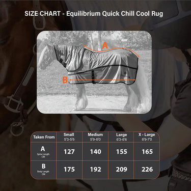 Equilibrium Quick Chill Cool Rug Detachable Neck Light Blue| Online For Equine