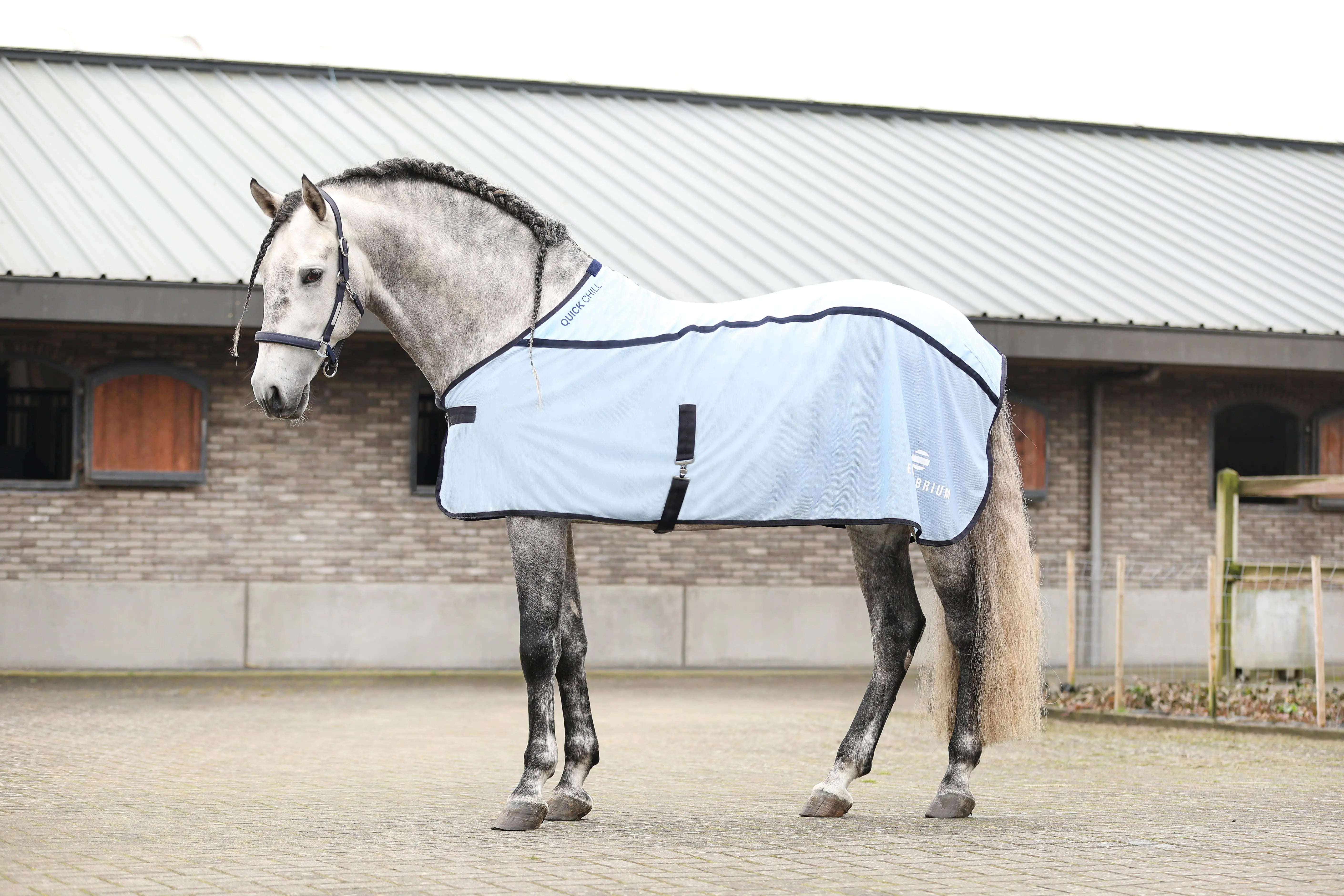 Buy the Equilibrium Quick Chill Cooling Rug | Online for Equine ...
