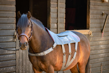 Buy Equilibrium Small Massage Pad Heatsense| Online for Equine