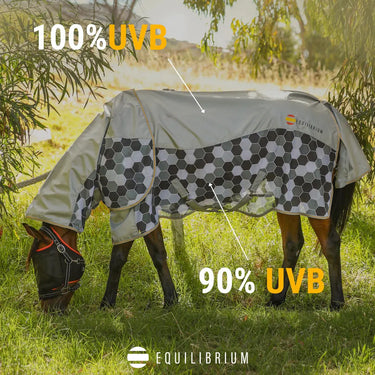 Equilibrium Waterproof Fly Rug with Detachable Neck| Online For Equine