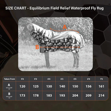 Equilibrium Waterproof Fly Rug with Detachable Neck| Online For Equine