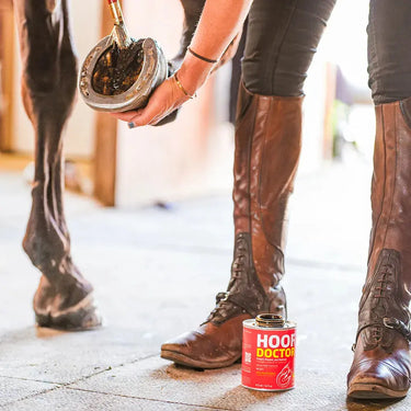 Equine One Hoof Doctor| Online For Equine