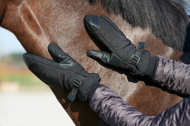Equipage Ladies Lucinda Mitten| Online For Equine